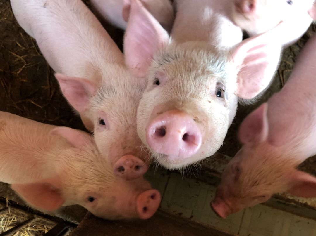 禁行_禁行怎么扣分和罰款_禁行標志牌