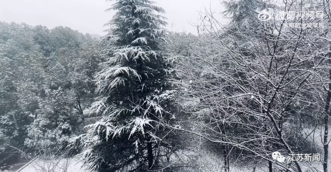 限行是幾點(diǎn)到幾點(diǎn)_限行_限行被拍怎么處罰