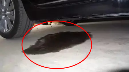 雪天行車安全注意事項_開車前繞車一周_出行提示