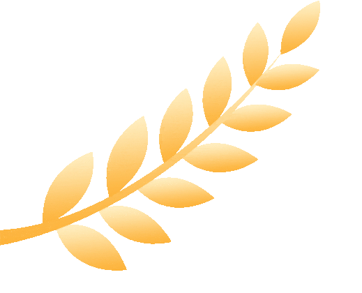 限行_天津國慶不限行_天津尾號(hào)限行規(guī)定