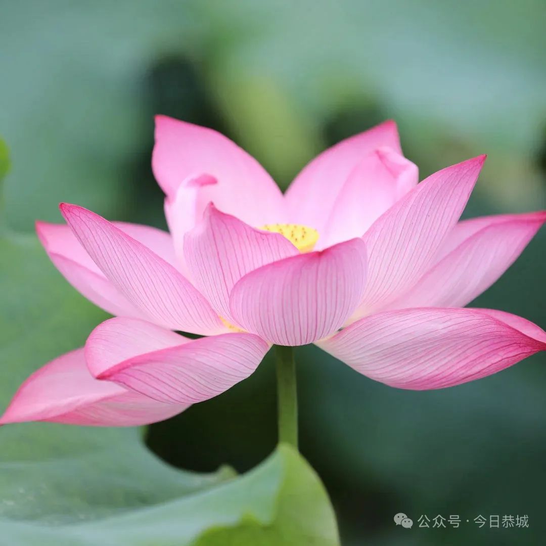 出行提示_桂林廣播與網(wǎng)絡音頻創(chuàng)新發(fā)展研討會_桂林中考出行提示