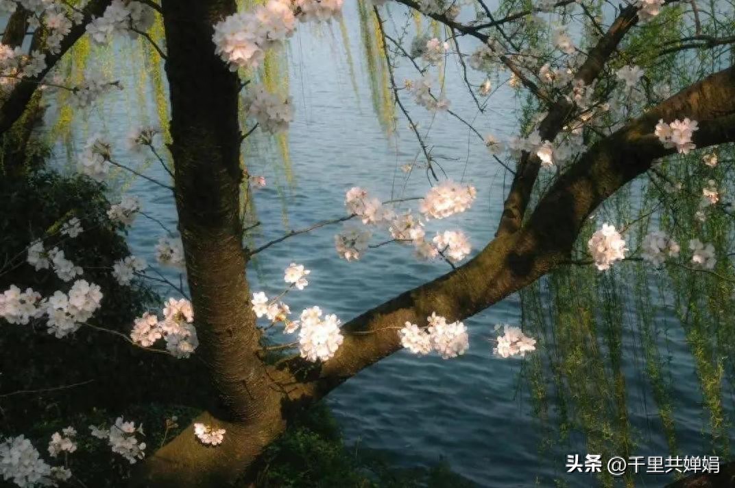 限行_天津限行尾號(hào)規(guī)則變動(dòng)_天津限行新規(guī)字母車牌管理