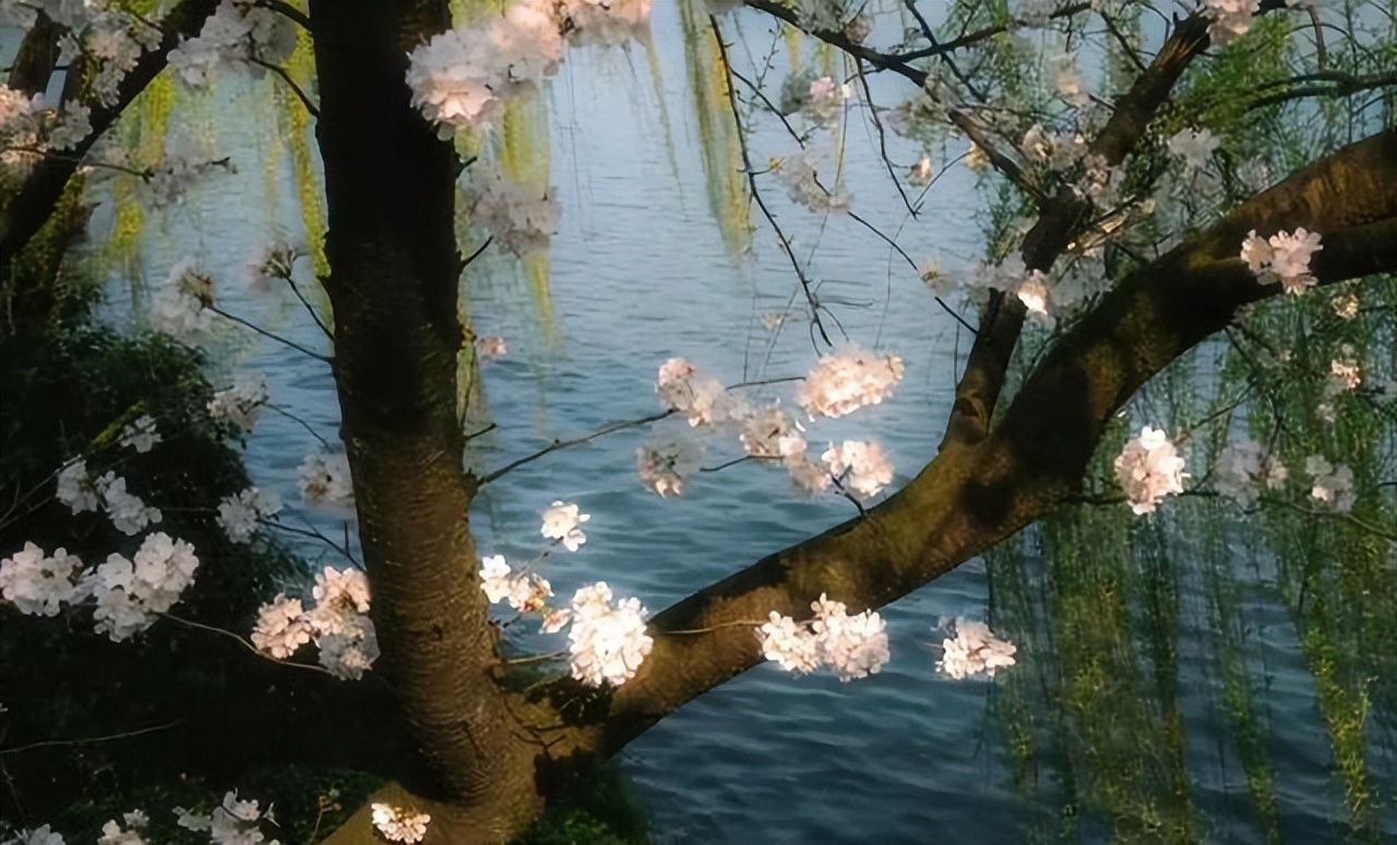 天津限行新規(guī)_字母車牌限行規(guī)則_限行