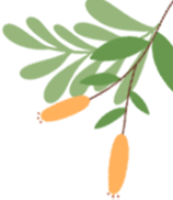 新學期交通安全提示_校園安全隱患防范_出行提示