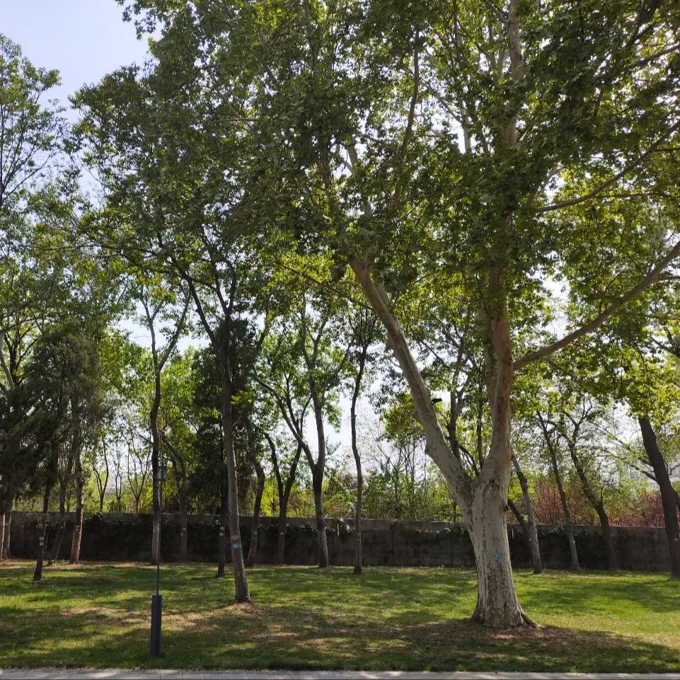 出行提示_五一自駕出行安全提示_自駕旅行安全注意事項(xiàng)