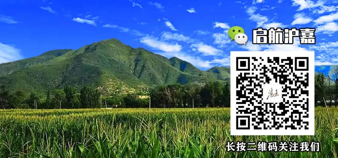 出行提示_滬嘉鄉(xiāng)交通安全提示_道路冰雪黃色預(yù)警