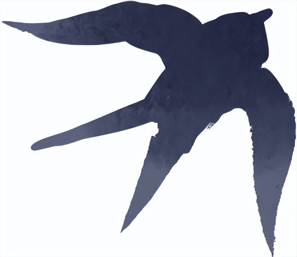 出行提示_雨霧天氣駕駛注意事項(xiàng)_秋季雨霧行車安全