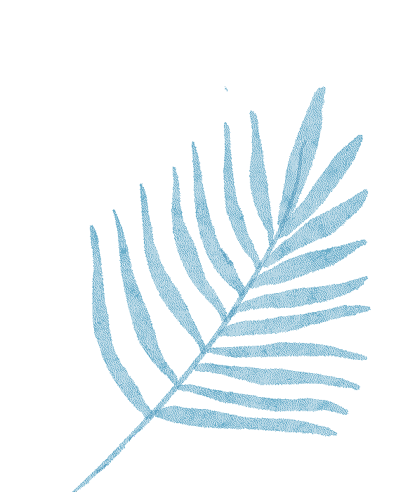 冰雪路面駕駛技巧_出行提示_冬季雪霧天氣行車(chē)安全