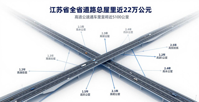 路況_江蘇省道路交通安全條例 新修訂 停車難